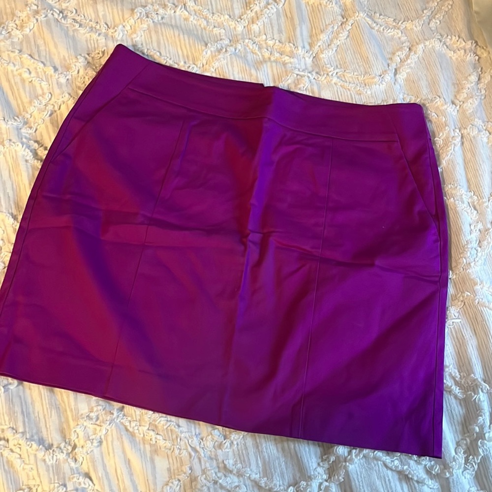 Ann Taylor Skirt